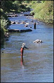 Photo of two people flyfishing in the Platte River.