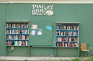 Phto of the Pine Library
